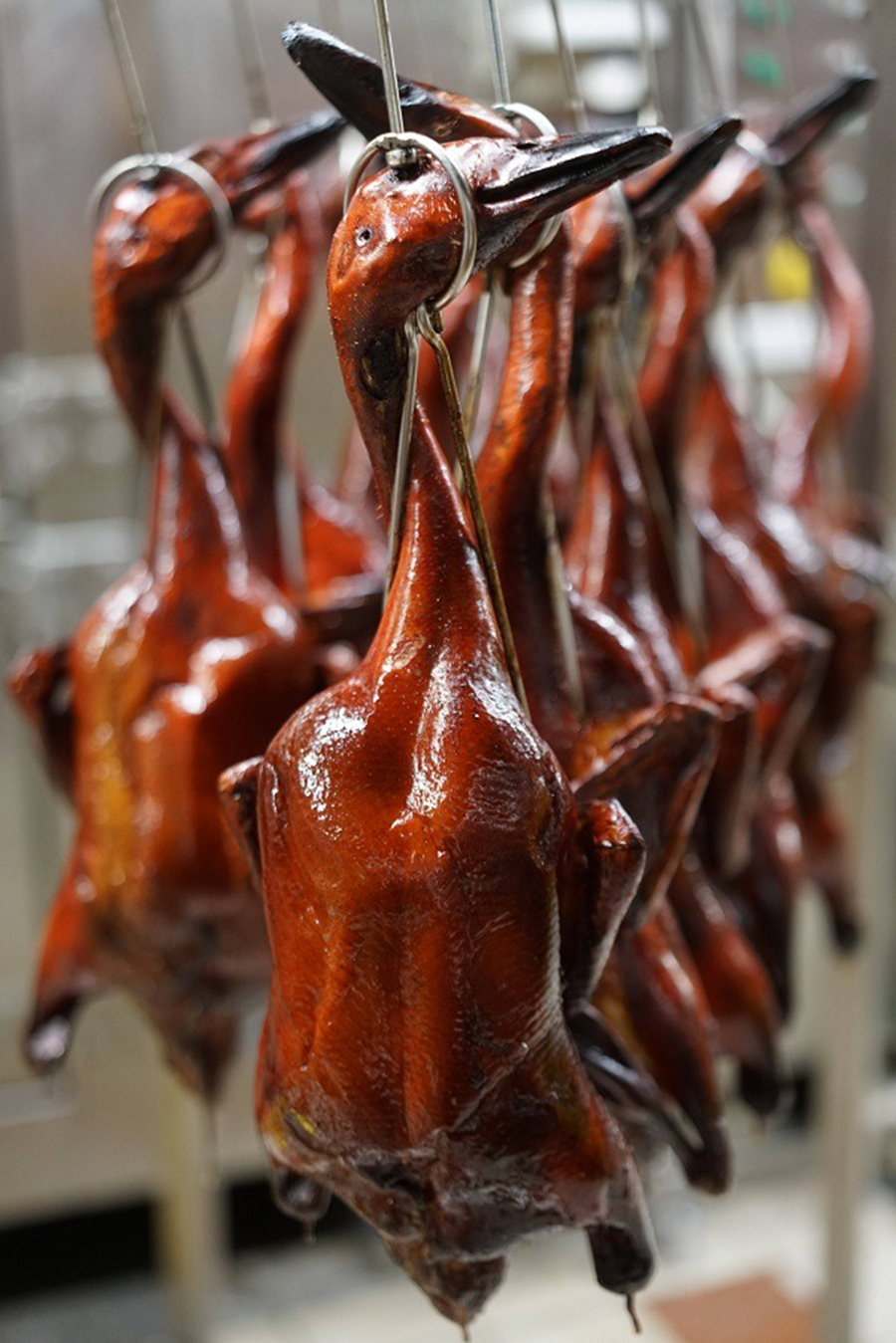 These Two Hawker Stalls In Ang Mo Kio Sell Whole Roast Ducks For Only